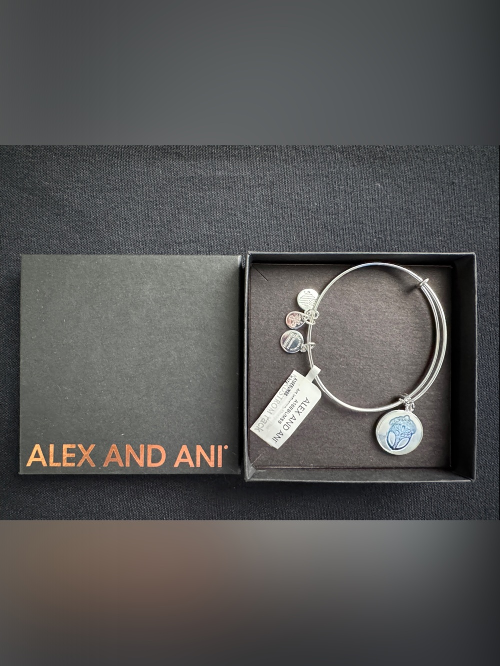 Alex and Ani Silver Unexpected Miracles Charm Expandable Bangle